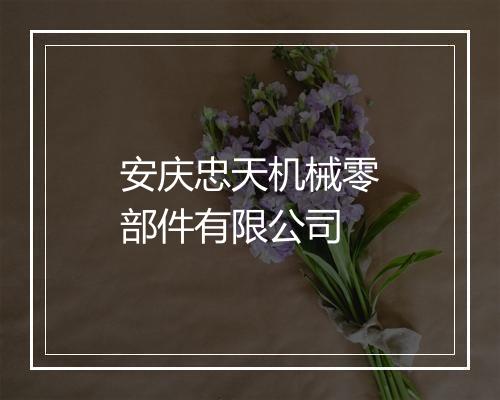 安庆忠天机械零部件有限公司