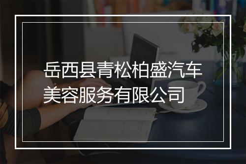 岳西县青松柏盛汽车美容服务有限公司