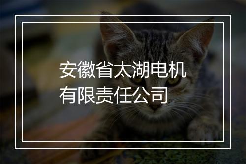 安徽省太湖电机有限责任公司