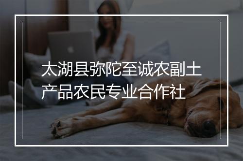 太湖县弥陀至诚农副土产品农民专业合作社