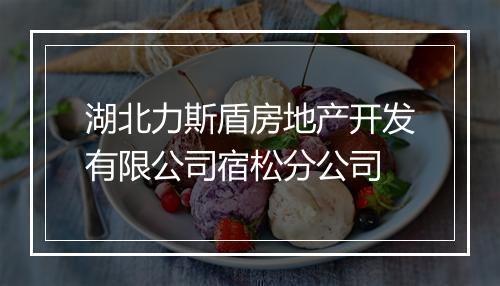 湖北力斯盾房地产开发有限公司宿松分公司