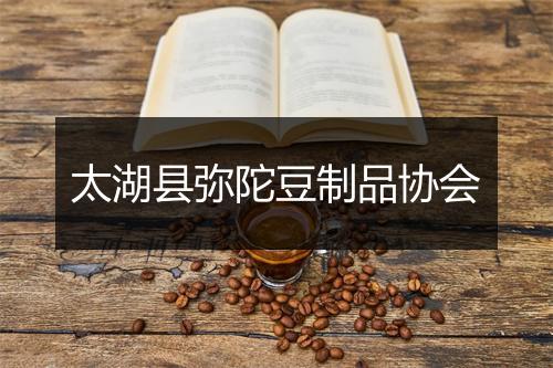 太湖县弥陀豆制品协会