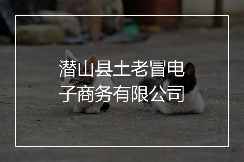 潜山县土老冒电子商务有限公司