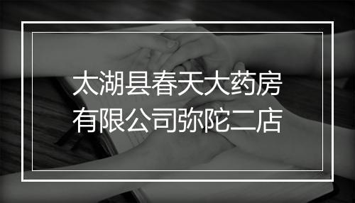太湖县春天大药房有限公司弥陀二店