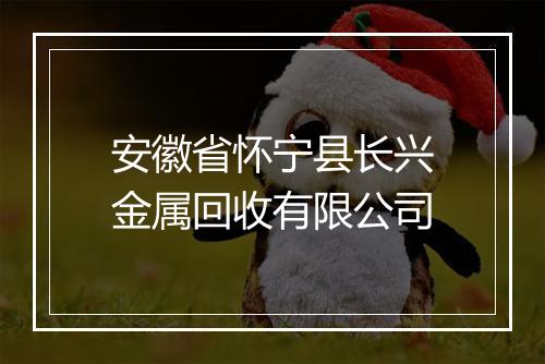 安徽省怀宁县长兴金属回收有限公司