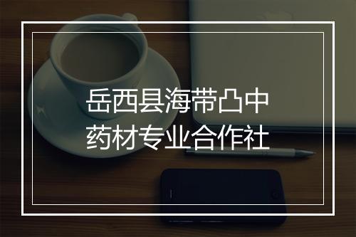 岳西县海带凸中药材专业合作社