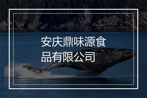 安庆鼎味源食品有限公司