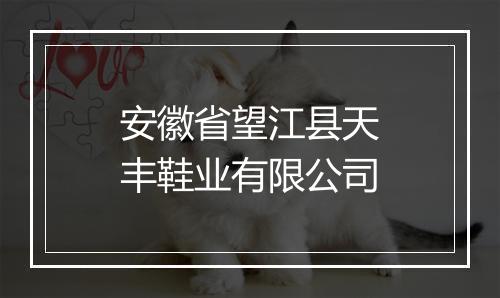 安徽省望江县天丰鞋业有限公司