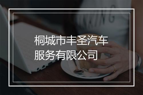 桐城市丰圣汽车服务有限公司