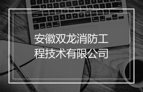 安徽双龙消防工程技术有限公司