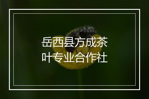 岳西县方成茶叶专业合作社