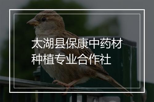 太湖县保康中药材种植专业合作社