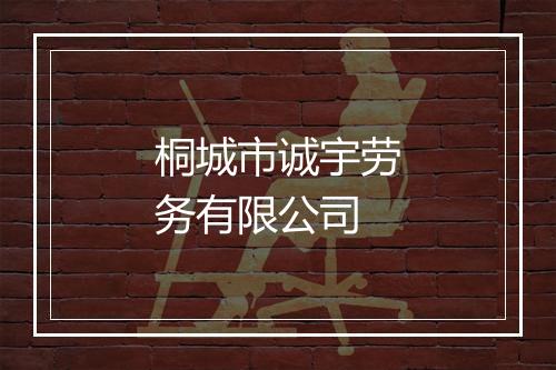 桐城市诚宇劳务有限公司