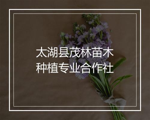 太湖县茂林苗木种植专业合作社