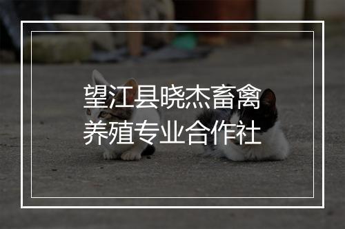 望江县晓杰畜禽养殖专业合作社