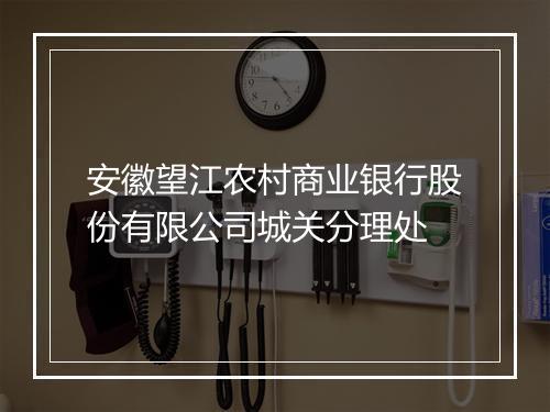 安徽望江农村商业银行股份有限公司城关分理处