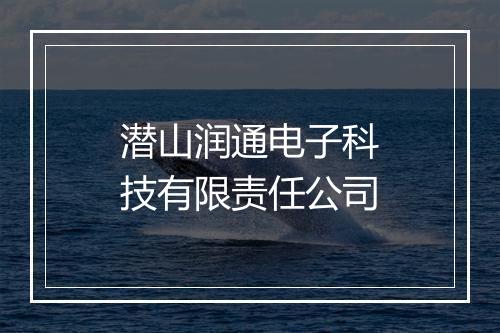 潜山润通电子科技有限责任公司