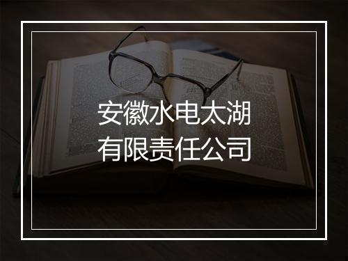 安徽水电太湖有限责任公司