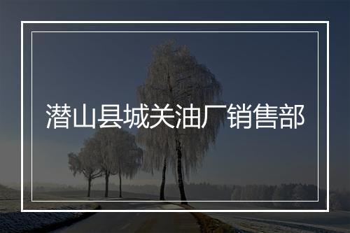 潜山县城关油厂销售部