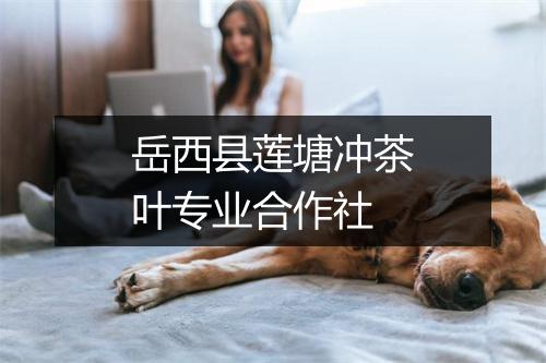 岳西县莲塘冲茶叶专业合作社