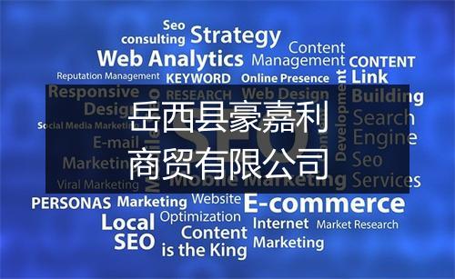 岳西县豪嘉利商贸有限公司