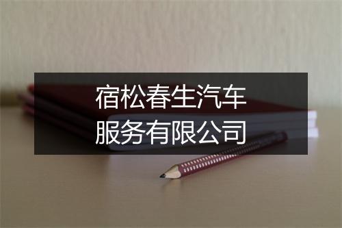 宿松春生汽车服务有限公司