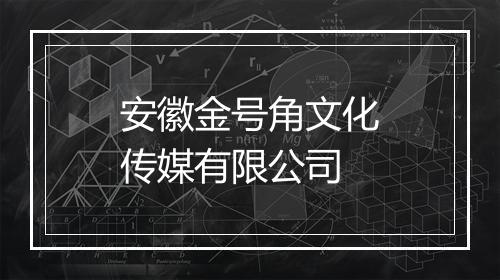 安徽金号角文化传媒有限公司