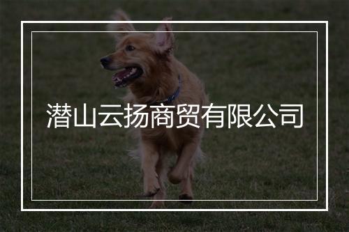 潜山云扬商贸有限公司