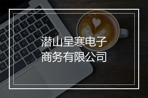 潜山呈寒电子商务有限公司
