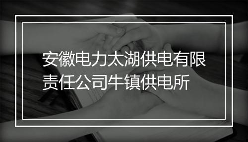 安徽电力太湖供电有限责任公司牛镇供电所