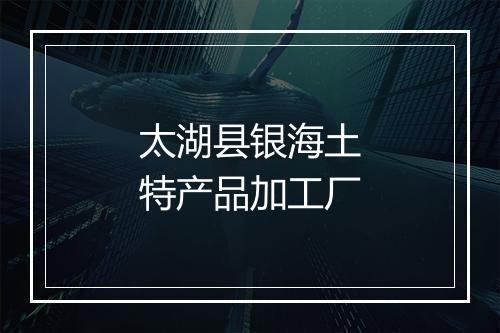 太湖县银海土特产品加工厂