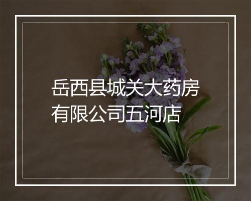 岳西县城关大药房有限公司五河店