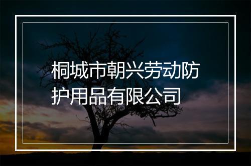 桐城市朝兴劳动防护用品有限公司