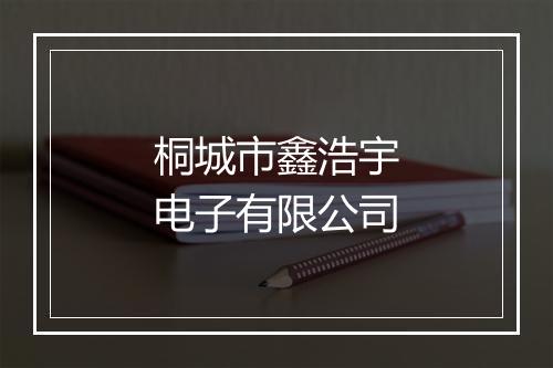 桐城市鑫浩宇电子有限公司