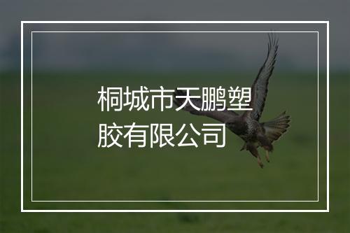 桐城市天鹏塑胶有限公司