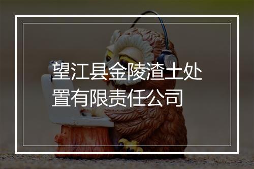 望江县金陵渣土处置有限责任公司
