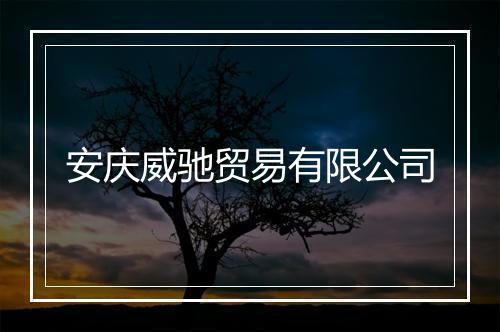 安庆威驰贸易有限公司