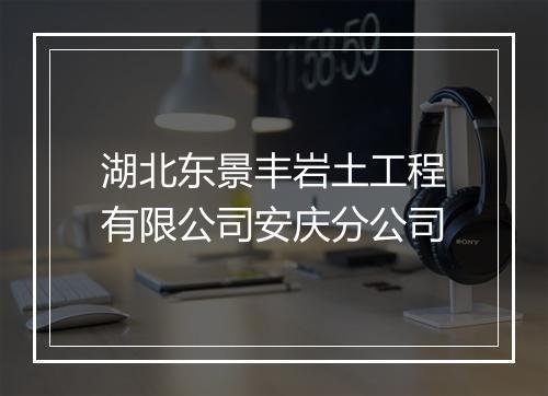 湖北东景丰岩土工程有限公司安庆分公司