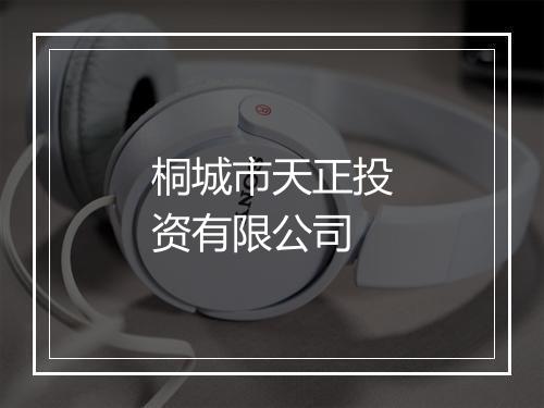 桐城市天正投资有限公司