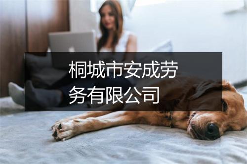 桐城市安成劳务有限公司