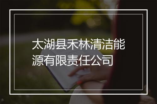 太湖县禾林清洁能源有限责任公司