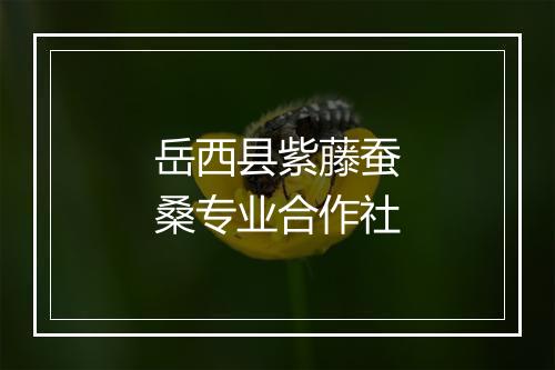 岳西县紫藤蚕桑专业合作社