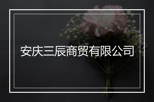 安庆三辰商贸有限公司