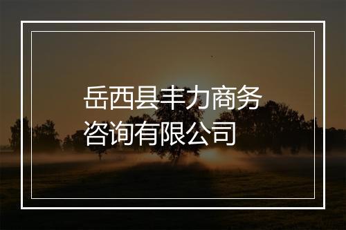 岳西县丰力商务咨询有限公司
