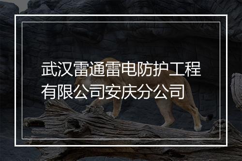 武汉雷通雷电防护工程有限公司安庆分公司