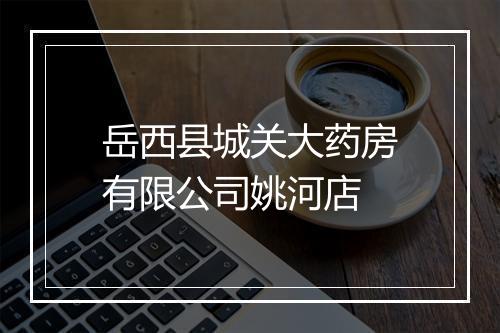 岳西县城关大药房有限公司姚河店