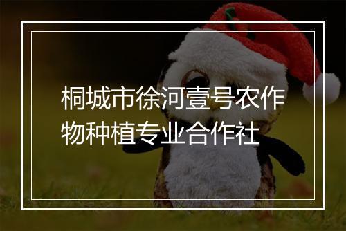桐城市徐河壹号农作物种植专业合作社