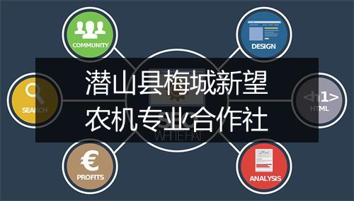 潜山县梅城新望农机专业合作社