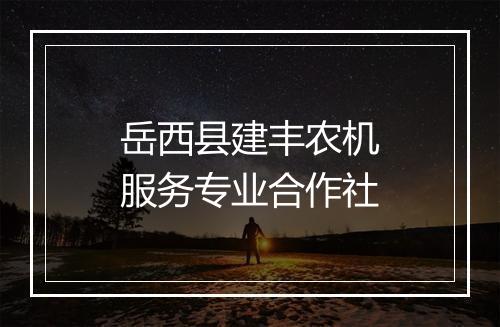 岳西县建丰农机服务专业合作社