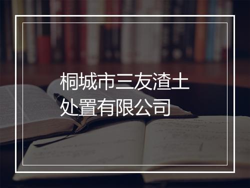 桐城市三友渣土处置有限公司